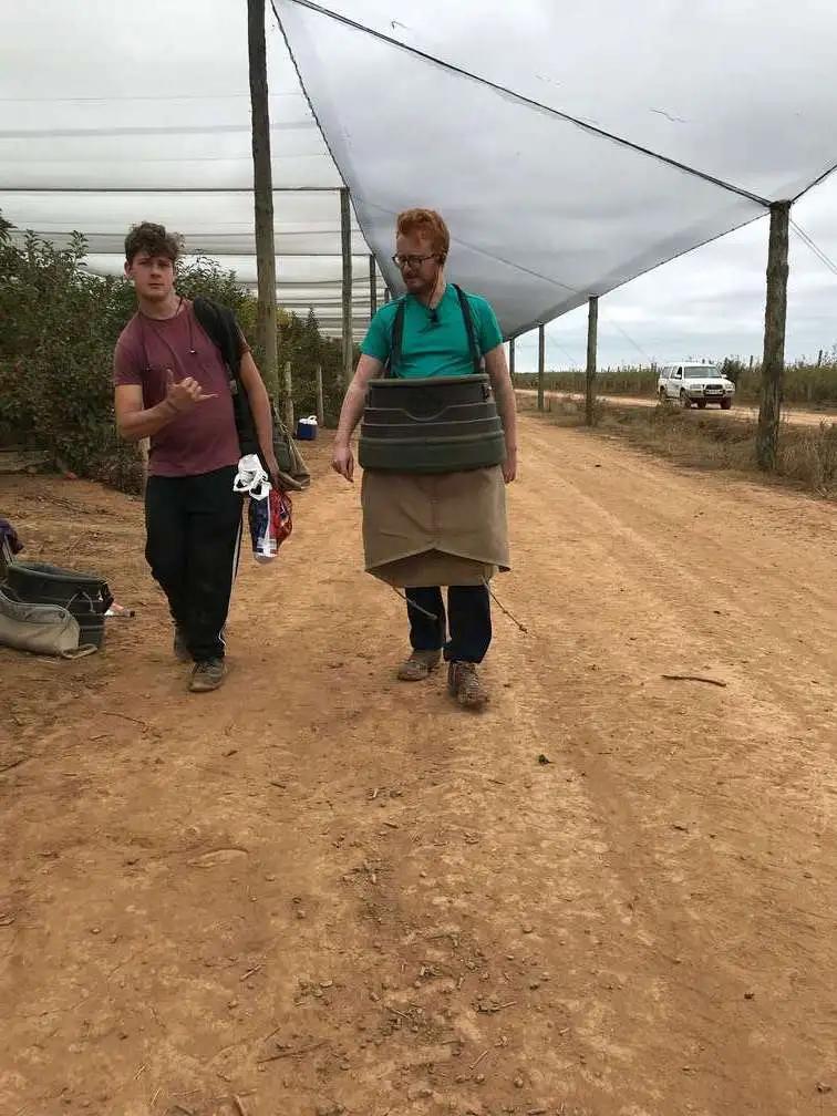 Two backpackers walking through a farm with picking buckets