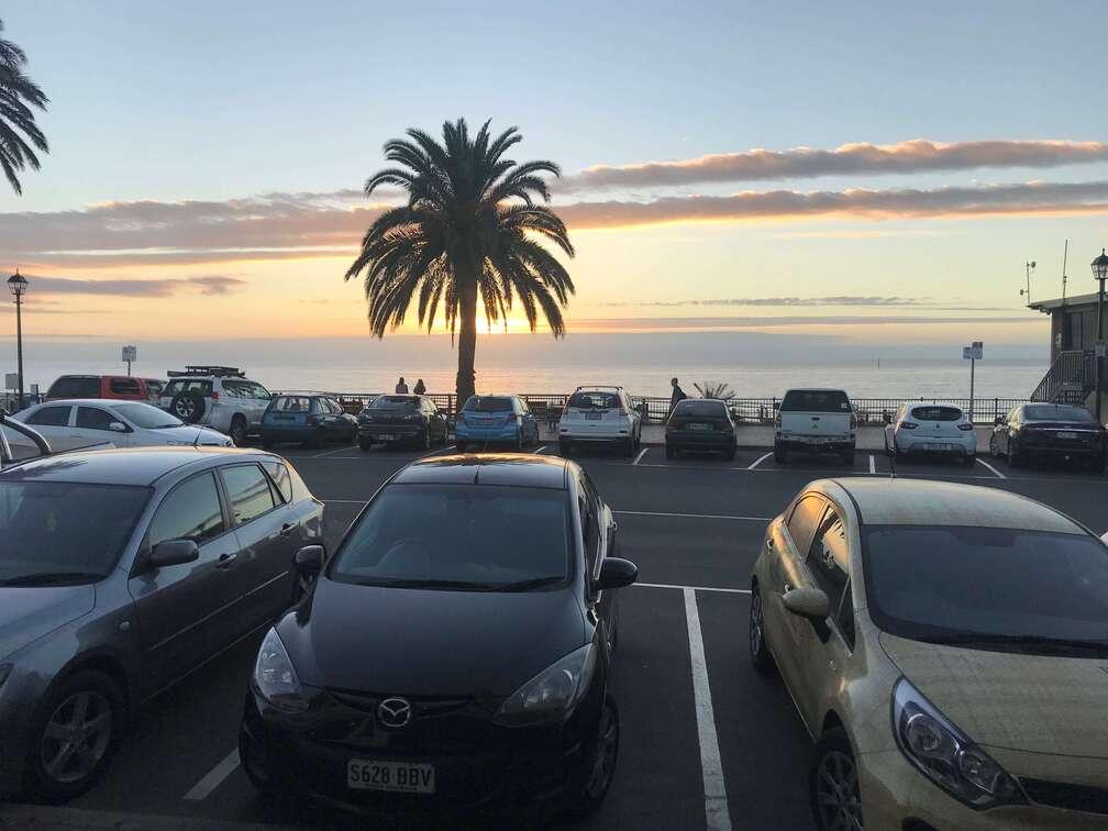 Sunset over the ocean with a palm tree on the Australian coast