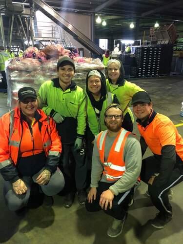 Backpackers in hi-vis in a potato packing factory