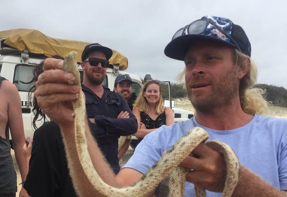 Snakes Australia